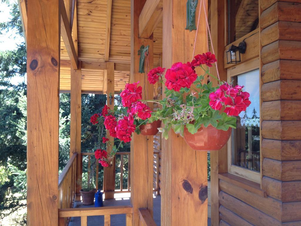 Hosteria Baerenhaus San Martín de los Andes Esterno foto